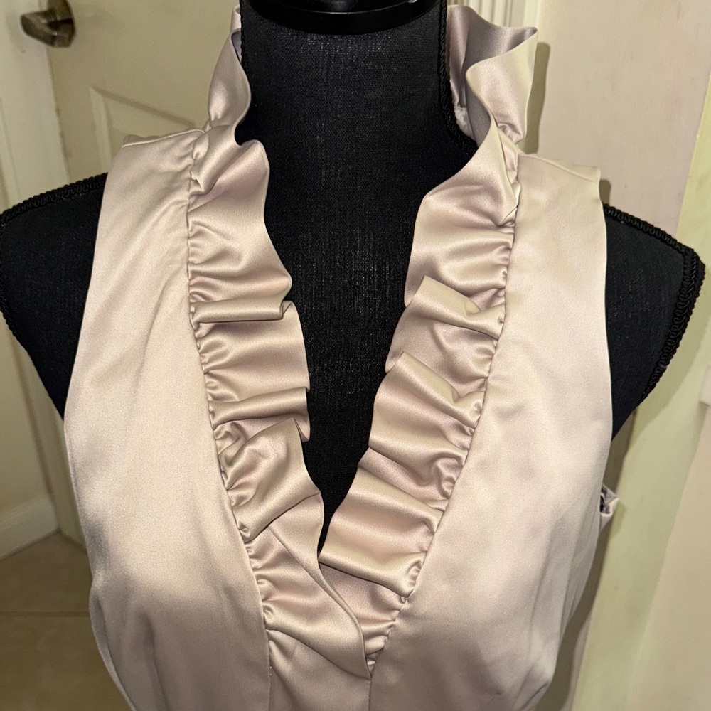 NWT Just Taylor Elegant Sleeveless Ruffle Neck Dress - beige size 12 - Picture 2 of 8